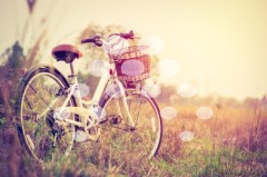 Bicicleta en un campo de flores