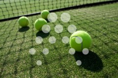 Tenis