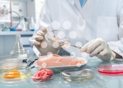 ManipulaciÃ³n de alimentos