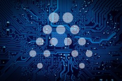 Microchip