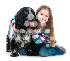 Cocker Spaniel