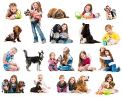 Collage mascotas